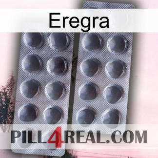 Eregra 31